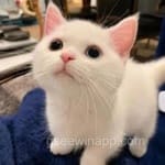 Avatar de José Manuel Cárdenas